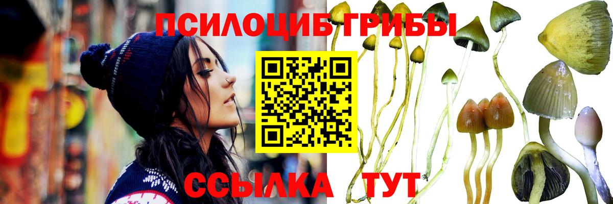 Псилоцибиновые грибы мухоморы  Вход с VPN  где купить наркоту  Белореченск 